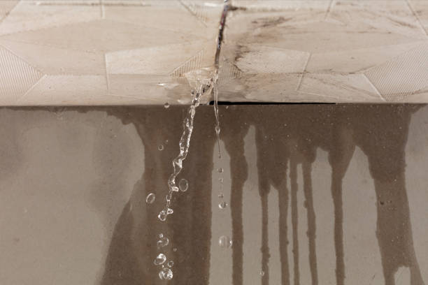 Professional Structural Drying technician working in Holgate, OH